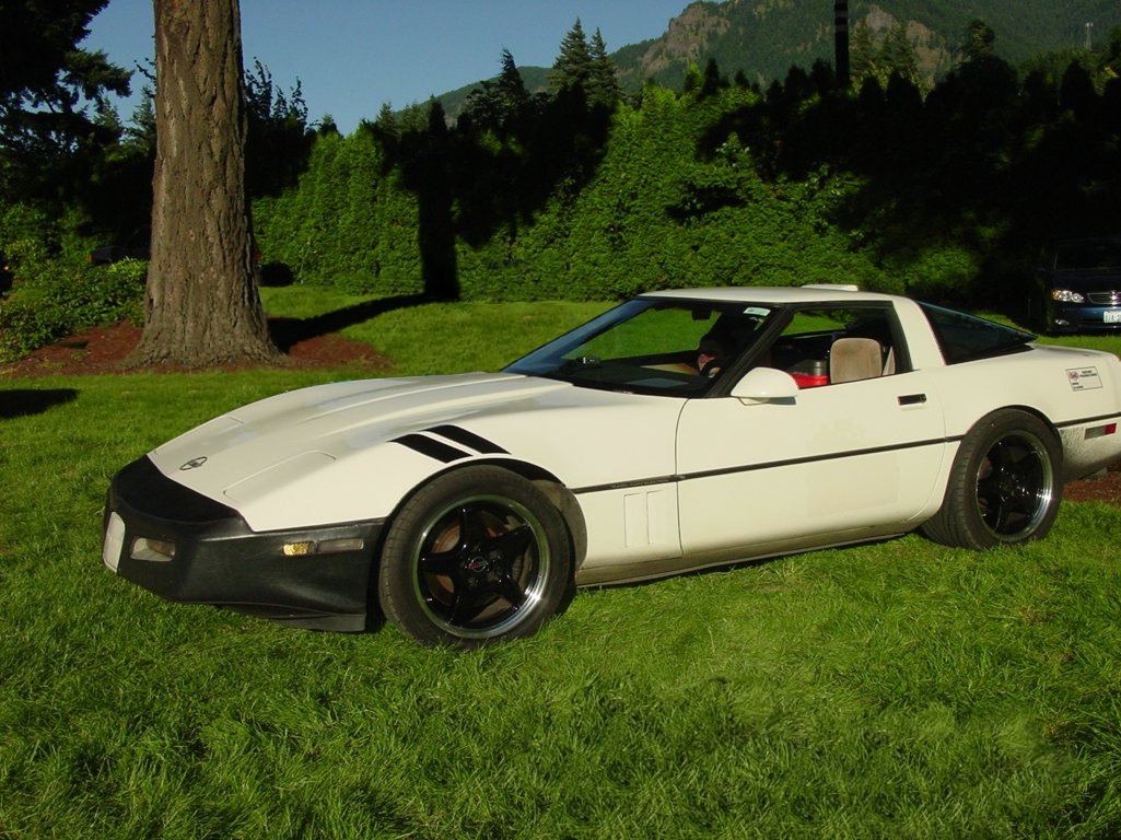 DSCExotic1164_1025[1].jpg